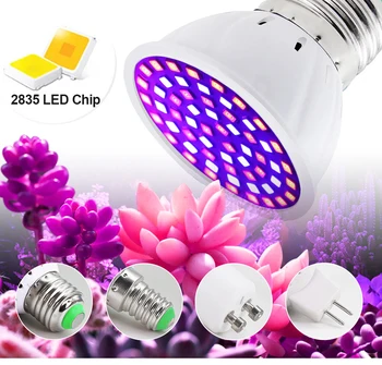 Светодиодная лампа для выращивания Полного спектра E27 E14 GU10 MR16 220V Тепличная Гидропонная Лампа Для Выращивания Комнатных растений 230 В Фито Цветочная Лампа