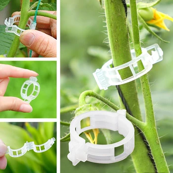 Пластиковые зажимы для растений Поддерживают, соединяют Многоразовую защиту, инструмент для прививки, крепления, Садовые принадлежности для овощных томатов